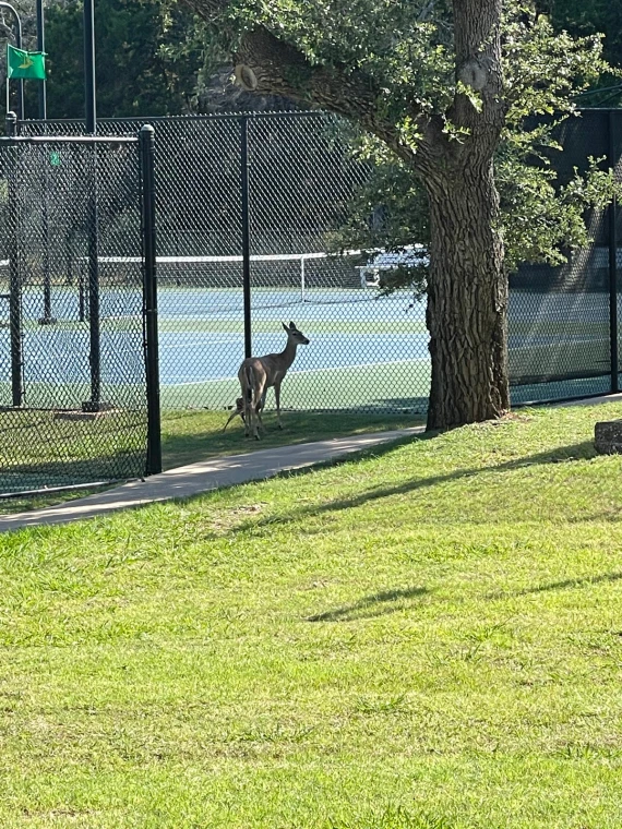 Berry Creek Racquet Club Berry Creek Racquet Club