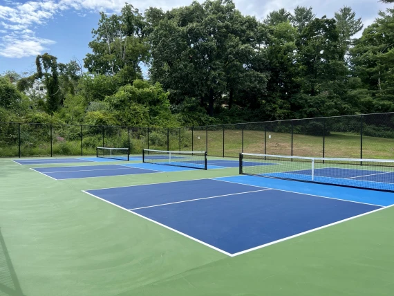 Buena Vista Courts