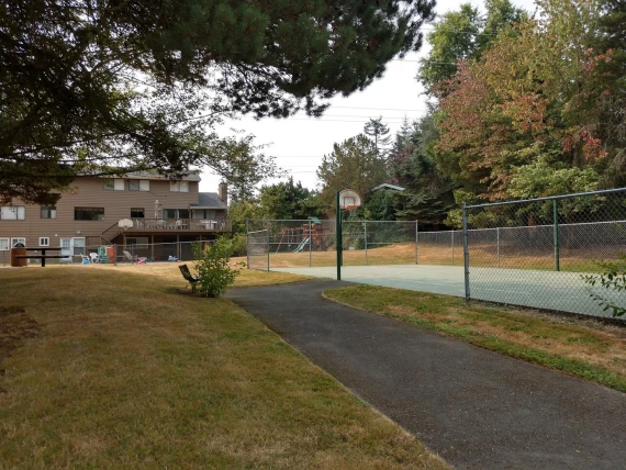 Conifer View Park