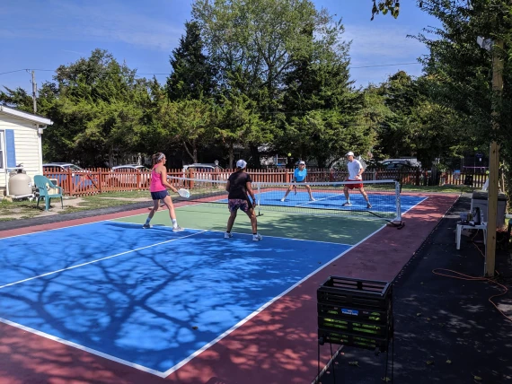 Dink iT!  Pickleball
