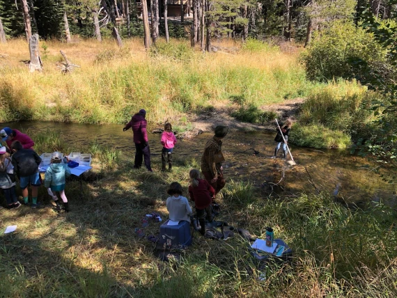 Donner Trail Elementary