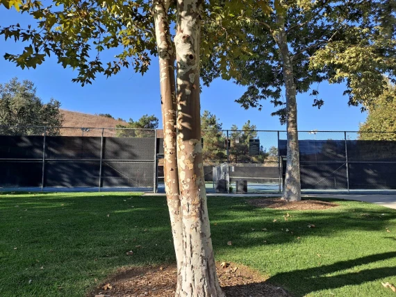 Gates Canyon Park