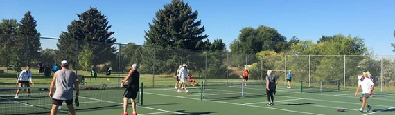 Lillis Park Pickleball Courts
