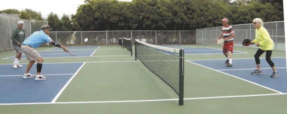 Manistee Township Courts