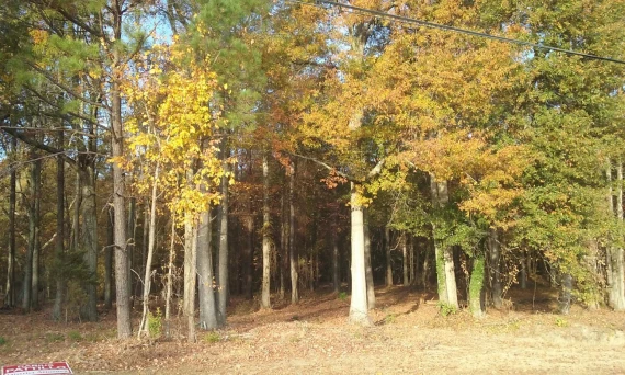 McBrayer Park McBrayer Park