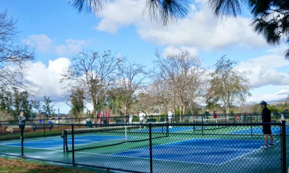 Meadow Park