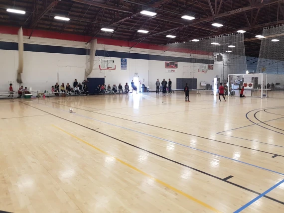 Norcal Courts