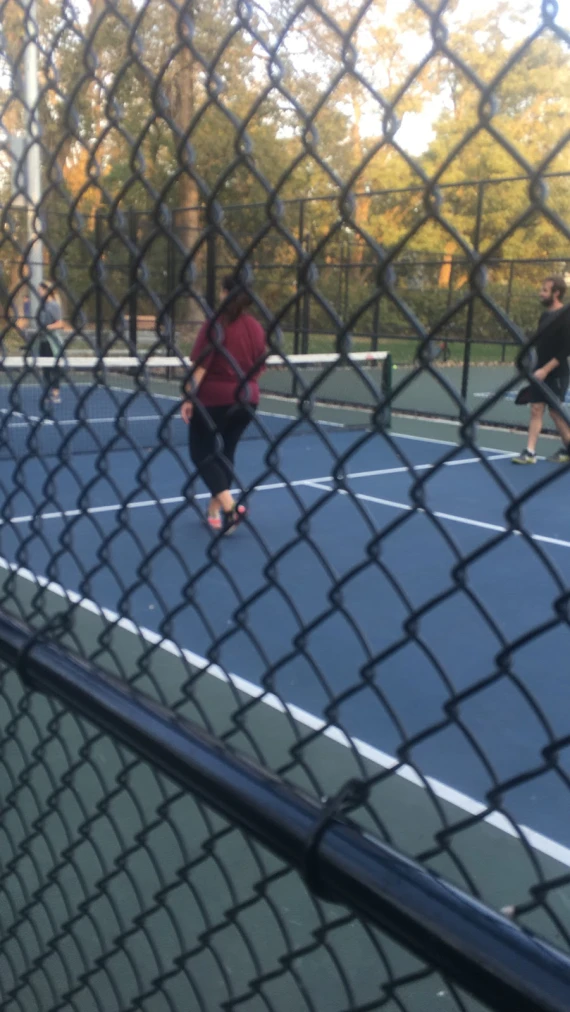 North Arlington Pickleball courts