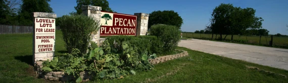 Pecan Plantation