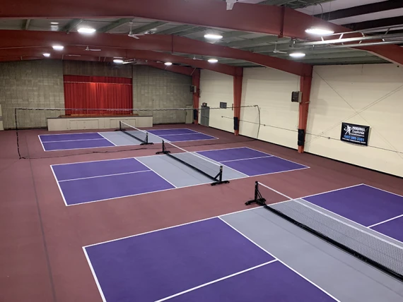 Pickleball Euphoria
