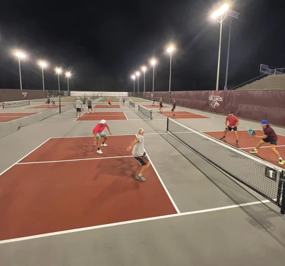 Saluki Courts