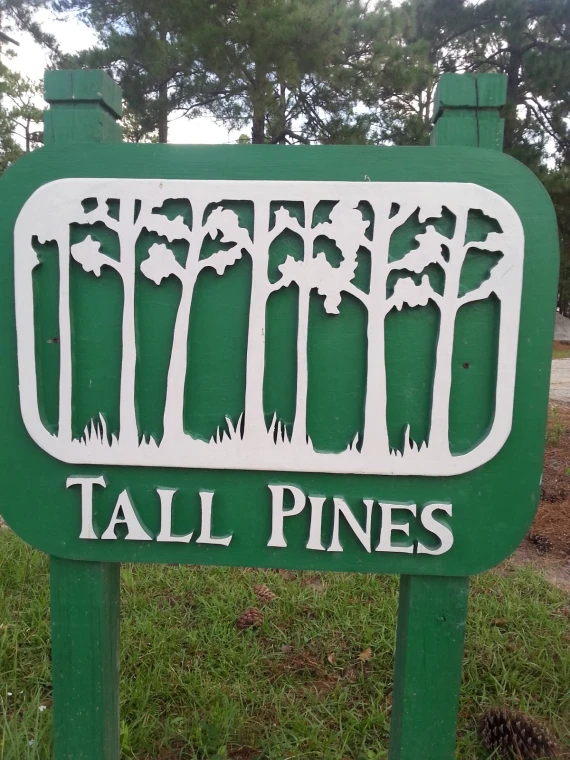 Tall Pine STEM Academy