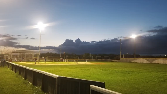 Tiger Field