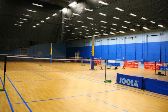 Triangle Table Tennis