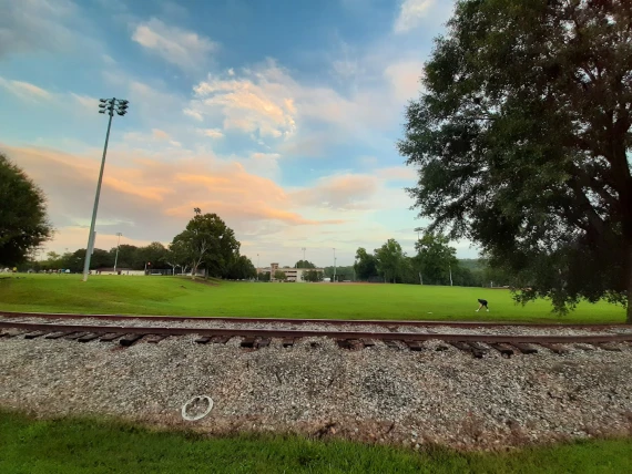 UGA Intramural Fields