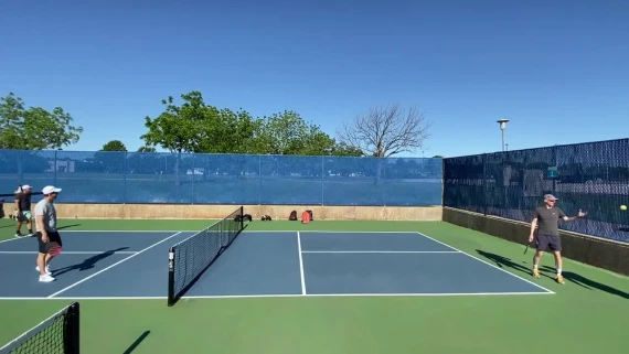 Willo-Esque Courts