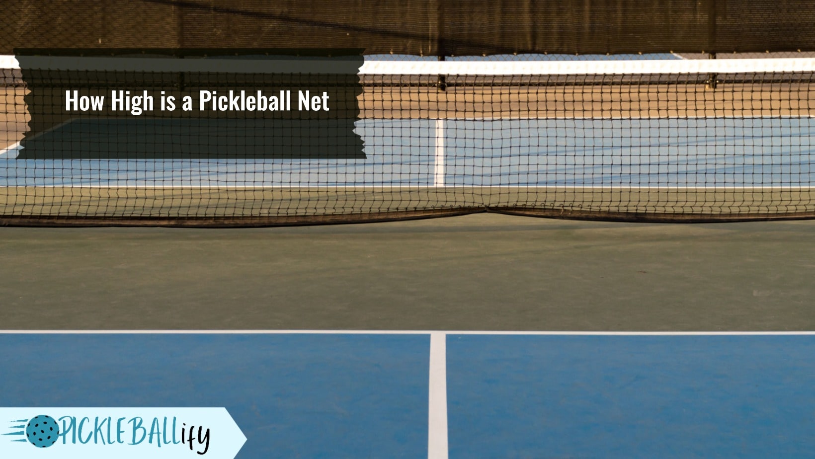 How High is a Pickleball Net? Everything You Need to Know Pickleballify