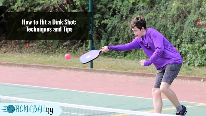Hitting Dink Shot in Pickleball Hitting Dink Shot in Pickleball