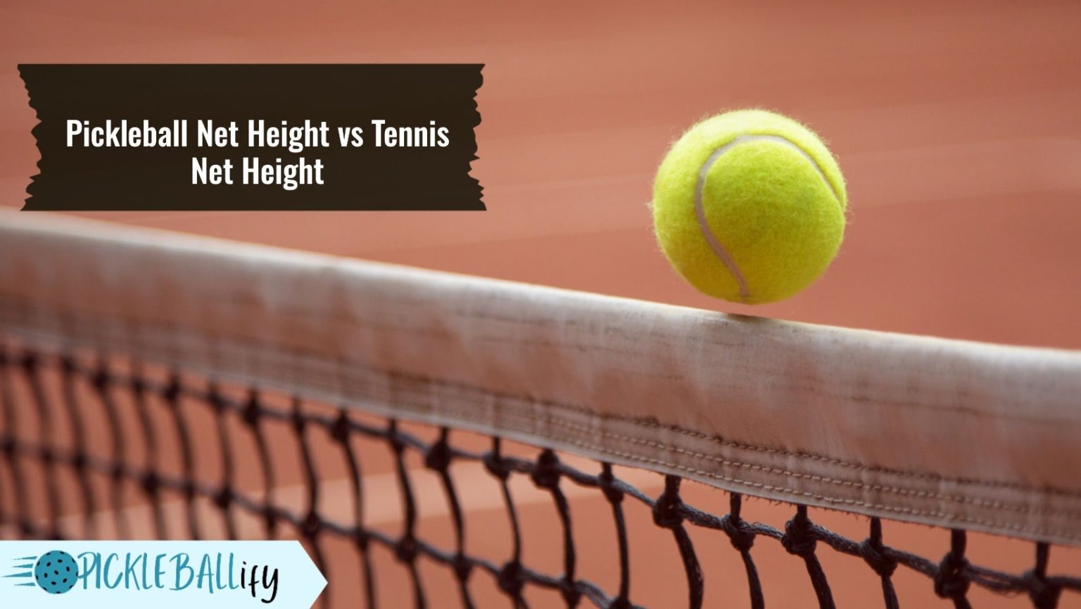 How High is a Pickleball Net? Everything You Need to Know Pickleballify