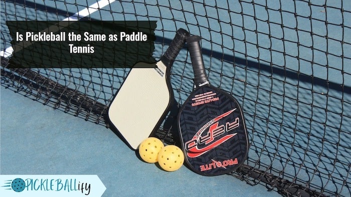 Pickleball different from paddle tennis Pickleball different from paddle tennis