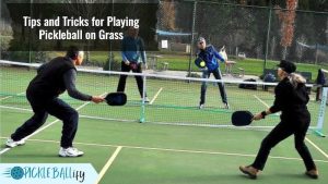 Gorgeous Can You Play Pickleball On Grass Landscape Nature Gorgeous Can You Play Pickleball On Grass Landscape Nature