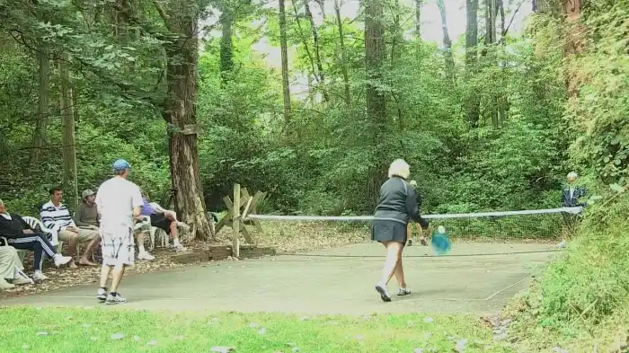 Featured Image For Unraveling the Mystery: Tracing the Origin of the Name Pickleball