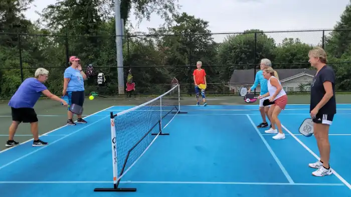 Featured image for Discover the Fast-Growing Phenomenon of Asheville NC Pickleball