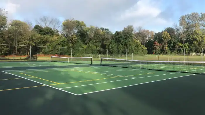 Limited Court Availabilty As The Reason For The Fault In Pickleball's Popularity