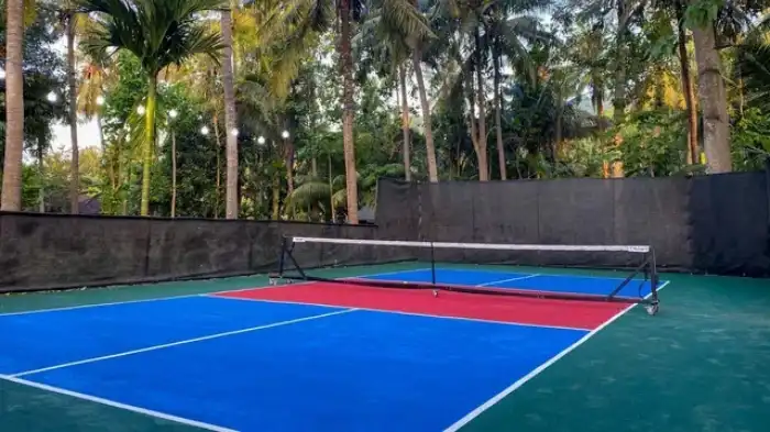 Featured Image For Build Your Own at Home Pickleball Court