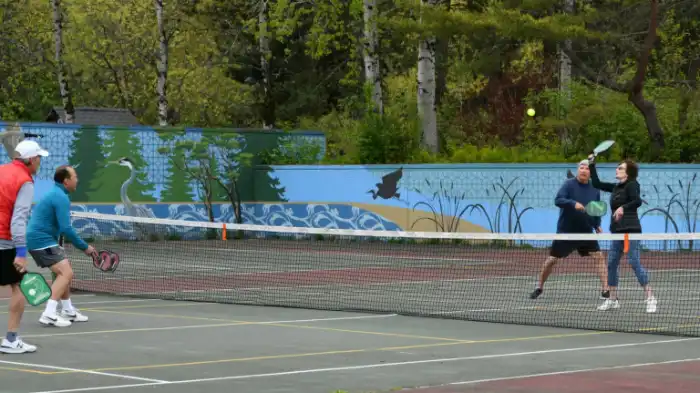 Emergence of Mercer Bucks Pickleball