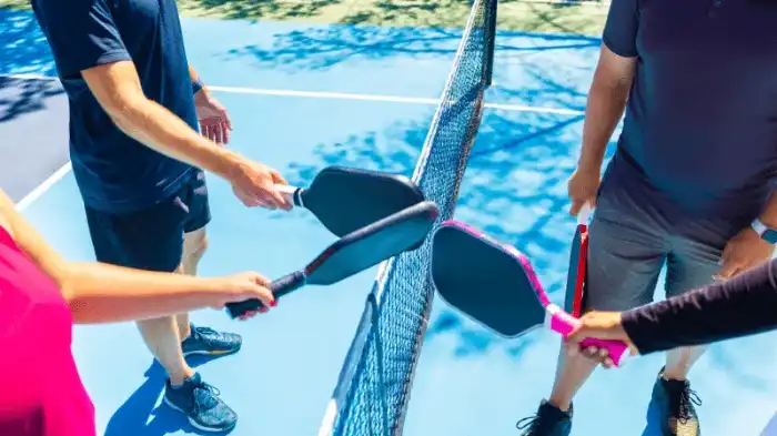 Net Ninjas Is One Of The Best Pickleball Team Names