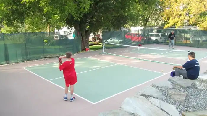 Backyard Pickleball Court