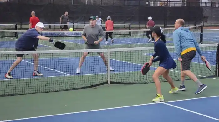 Impact Of The Spelling Of The Word "Pickleball" On The Pickleball Community